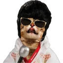 ស្ទីកเกอร์