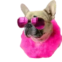 ஸ்டிக்கர்