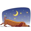 স্টিকার