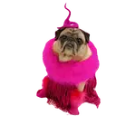 ஸ்டிக்கர்