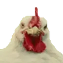 ස්ටිකර්