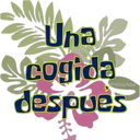 Կպչուն պիտակ