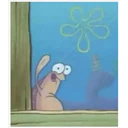 ස්ටිකර්