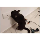 ஸ்டிக்கர்