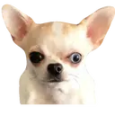 ஸ்டிக்கர்