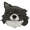 ஸ்டிக்கர்