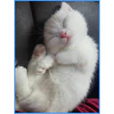 ස්ටිකර්