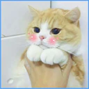 ස්ටිකර්