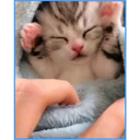 ස්ටිකර්