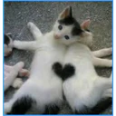 ස්ටිකර්