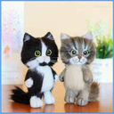 ස්ටිකර්