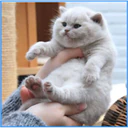 ස්ටිකර්