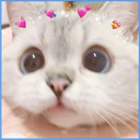 ස්ටිකර්