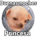 Կպչուն պիտակ