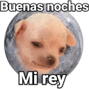 Կպչուն պիտակ