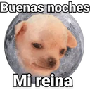 Կպչուն պիտակ