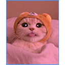 ස්ටිකර්