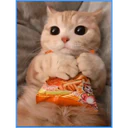 ස්ටිකර්