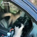 สติกเกอร์