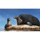 ஸ்டிக்கர்