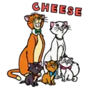 ស្ទីកเกอร์