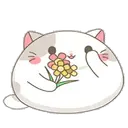 ස්ටිකර්