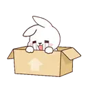 ස්ටිකර්