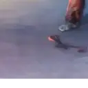 Կպչուն պիտակ