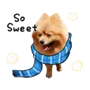 ស្ទីកเกอร์