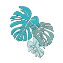 ස්ටිකර්