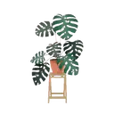 ස්ටිකර්