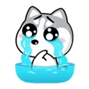 స్టికర్