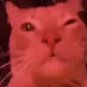 ස්ටිකර්