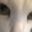 ස්ටිකර්