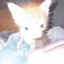 ස්ටිකර්