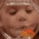 สติกเกอร์