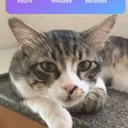 สติกเกอร์