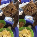 สติกเกอร์