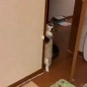 สติกเกอร์