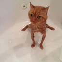 สติกเกอร์