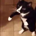 สติกเกอร์