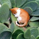 สติกเกอร์