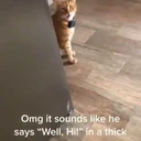 สติกเกอร์