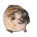 స్టికర్