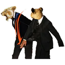 Կպչուն պիտակ