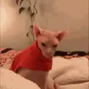 สติกเกอร์