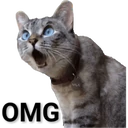 స్టికర్