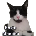 స్టికర్