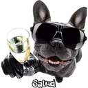 ស្ទីកเกอร์