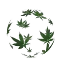 ස්ටිකර්